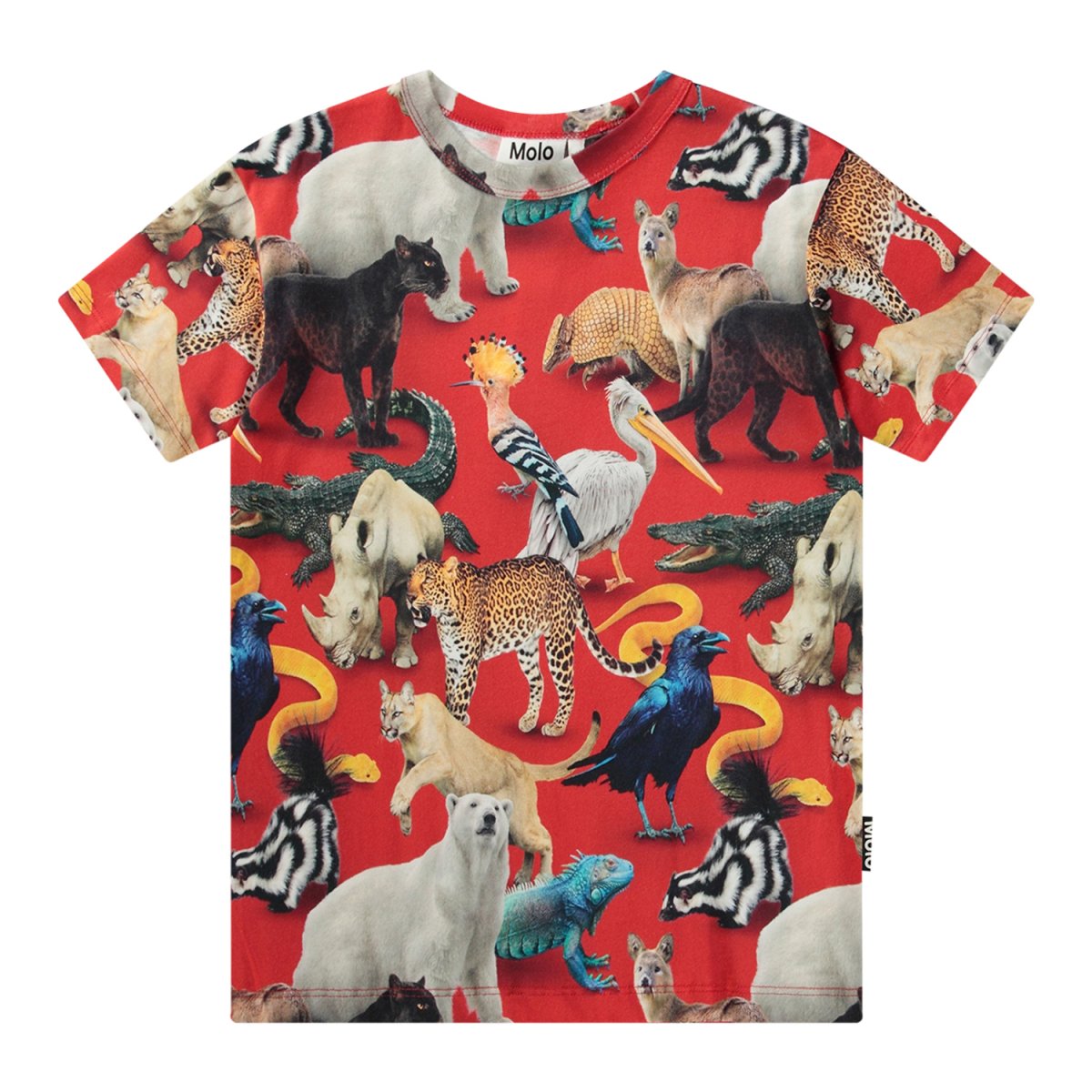 T-shirt Riley GOTS