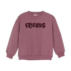 Tröja Friends
